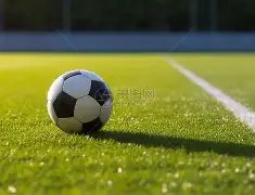 萨拉赫怒揭,真相,沦为替罪羊,华体会体育app下载,华体会体育官网,华体会体育官方网站,华体会体育平台