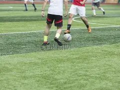 曼联客场狂,球击溃狼队,费独中两元,华体会体育app下载,华体会体育官网,华体会体育官方网站,华体会体育平台