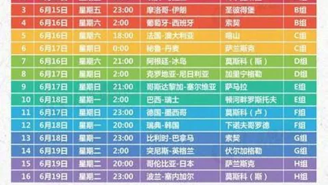 2025年1月11日赫曼施塔特与费尔干纳夫兹友谊赛：回顾往昔交锋、战绩分析及赛事预测
